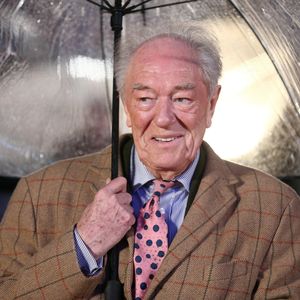 Filmstar Michael Gambon (†82) wurde mit 68 noch mal Vater