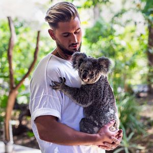 Während Elena im Dschungel ist, sorgt sich Mike um Koalas!