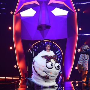 Wie kam "Masked Singer"-Wuschel mit seinem Kostüm zurecht?