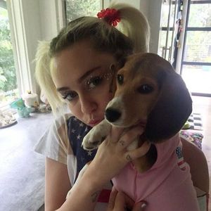 Miley Cyrus' Hund bekam einen Stromschlag am "The Voice"-Set