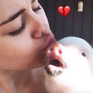 Miley Cyrus trauert: Ihr geliebtes Hausschwein ist gestorben