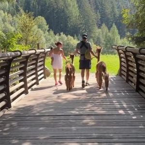 Millie Bobby Brown zeigt Familienurlaub mit Jake & Tochter