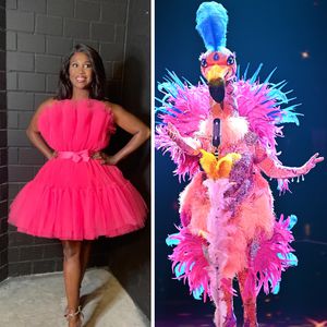 Könnte der "The Masked Singer"-Flamingo Motsi Mabuse sein?