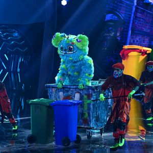 "The Masked Singer"-Finale: Das sind alle Indizien zu Mülli
