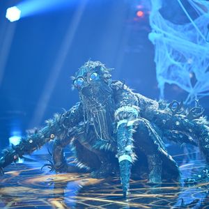 "The Masked Singer"-Finale: Dieser Star geht als Zweites!