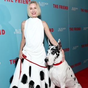 Naomi Watts posiert mit Riesendogge auf dem roten Teppich