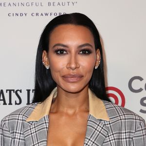Fan-Petition: Polizei soll weiter nach Naya Rivera suchen