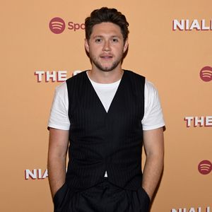 Darauf ist Niall Horan bei seiner Karriere besonders stolz!
