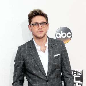 Niall Horan & Shawn Mendes: Bromance dank Zusammenarbeit?