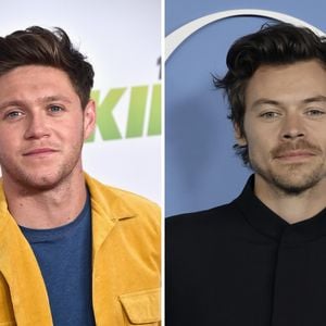 Niall Horan will wohl nicht zu Harry Styles' Hochzeit kommen