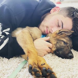 Familienzuwachs: Priyanka schenkt Nick Jonas Hunde-Welpen!
