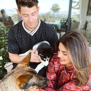 Familien-Porträt: Nick Jonas und Priyanka haben neuen Hund