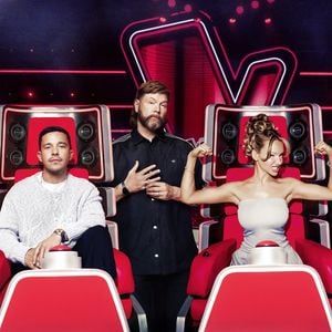 Die "The Voice of Germany"-Coaches 2026 bleiben unverändert