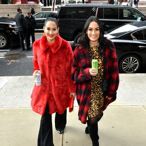 Nach Trennung von John Cena: So geht's Single Nikki Bella