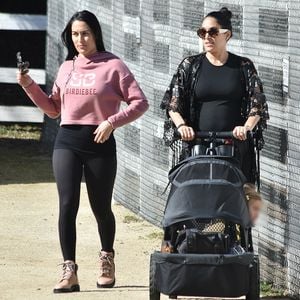 Absichtlich gemeinsam schwanger? Bella-Twins sind genervt