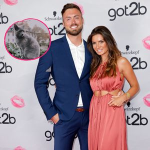 Bachelor Niko und Michèle verzweifelt: Katze Bijou ist weg!