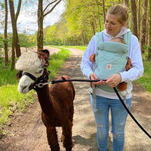 Süßer Anblick: Nina Bott und Baby Lobo wandern mit Alpakas