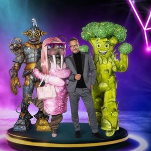 Enttäuschte Fans: "The Masked Singer"-Tour wurde abgesagt
