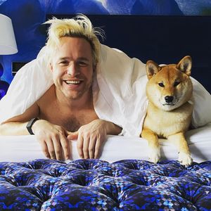 "Große Verantwortung": Olly Murs übt mit Hund das Papa-Sein