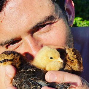 Zum Dahinschmelzen: Hier posiert Orlando Bloom mit Küken!