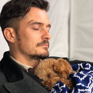 Traurige Gewissheit: Orlando Blooms Hund Mighty ist tot