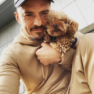 Orlando Bloom verzweifelt: Sein Hund Mighty wird vermisst!