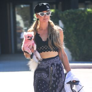 Skurriler Anblick: Paris Hilton mit pinkem Hund unterwegs