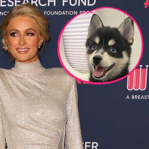 Liebes-Jubiläum: Paris Hilton bekommt Hündchen vom Freund!