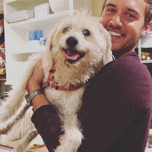 Nach Gesichts-OP: US-Bachelor Peter Weber lächelt wieder!