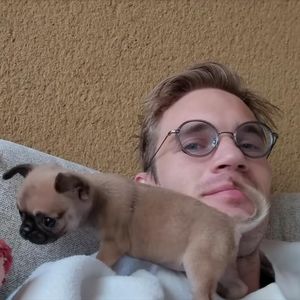 Nach Verlust von Tier-Star Maya: PewDiePie hat neuen Welpen