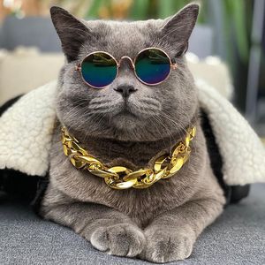 Misshandelt: Instagram-Katze Ponzu stirbt an Verletzungen