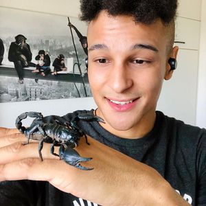 Skorpion: Dschungelkönig Prince Damien hat wilde Haustiere!
