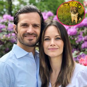 Prinz Carl Philip und Sofias Hund ist wieder ausgebüxt!