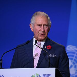 Fast gestürzt: Prinz Charles stolperte vor Weltpolitikern!