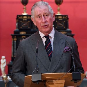 Krass: Hat Prinz Charles tatsächlich auch Camilla betrogen?