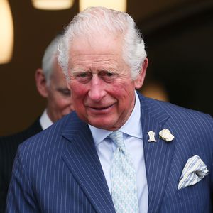 Prinz Charles wird jetzt neuer König: Das sind seine Pläne!