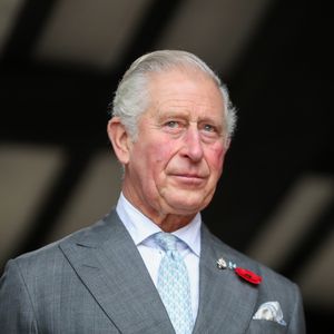 Prinz Charles ist auf Millionen-Kunstbetrug hereingefallen!
