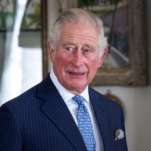 Prinz Charles fliegt über seinen Geburtstag nach Berlin