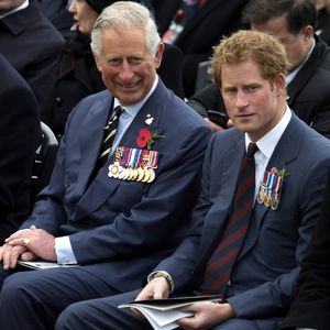 Ließ Prinz Charles seinen Sohn Harry zu oft im Stich?