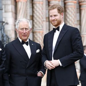 Darum wird König Charles Sohn Prinz Harry nie aufgeben!