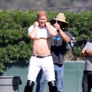 Bei Polo-Match: Prinz Harry zeigt halb nackten Oberkörper