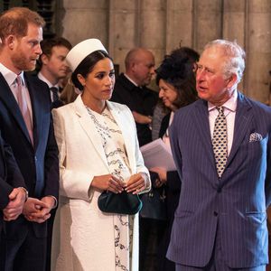 4,5 Millionen Euro: Prinz Charles zahlt für Sussex-Security!