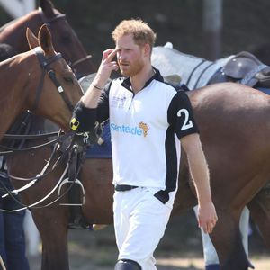 Prinz Harrys neue Serie wird von Profisportlern zerrissen