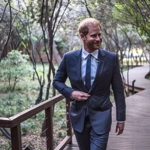 So umgeht Prinz Harry die Steuern für sein Millionenerbe