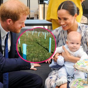 "Archie-Wald": Fans von Harry und Meghan pflanzen 530 Bäume