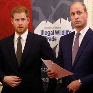 War Prinz William immer eifersüchtig auf Harrys Popularität?