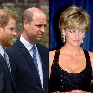 Kluft zwischen Harry und William: Lady Diana wäre bestürzt