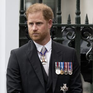 Heimatreise: Was erwartet Prinz Harry bei seiner Rückkehr?