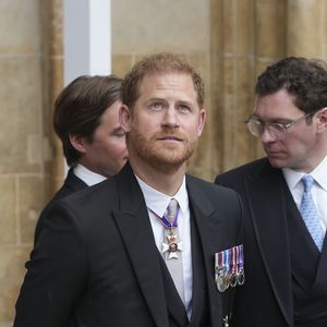 Wird sich Prinz Harry aus der Öffentlichkeit zurückziehen?