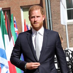 Versteht sich Prinz Harry als "Versöhner" der Königsfamilie?
